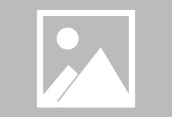 关于勒沃库森迎德甲关键赛，加时末段远射贴柱，管理层满意，纪律约束更严格的信息-沙巴体育